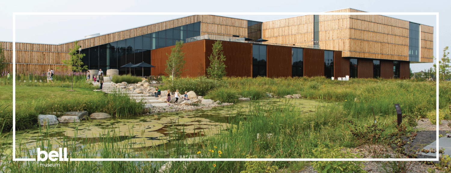 Forest Bathing on the Learning Landscape